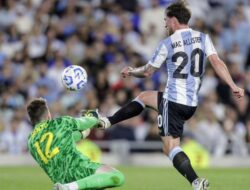 Argentina vs Brazil