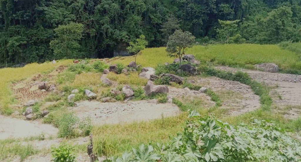 BHojpur khet flood by Ditible