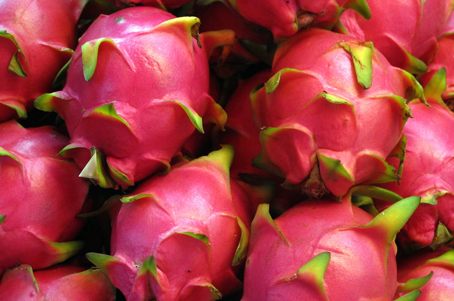 dragon fruit by Ditible