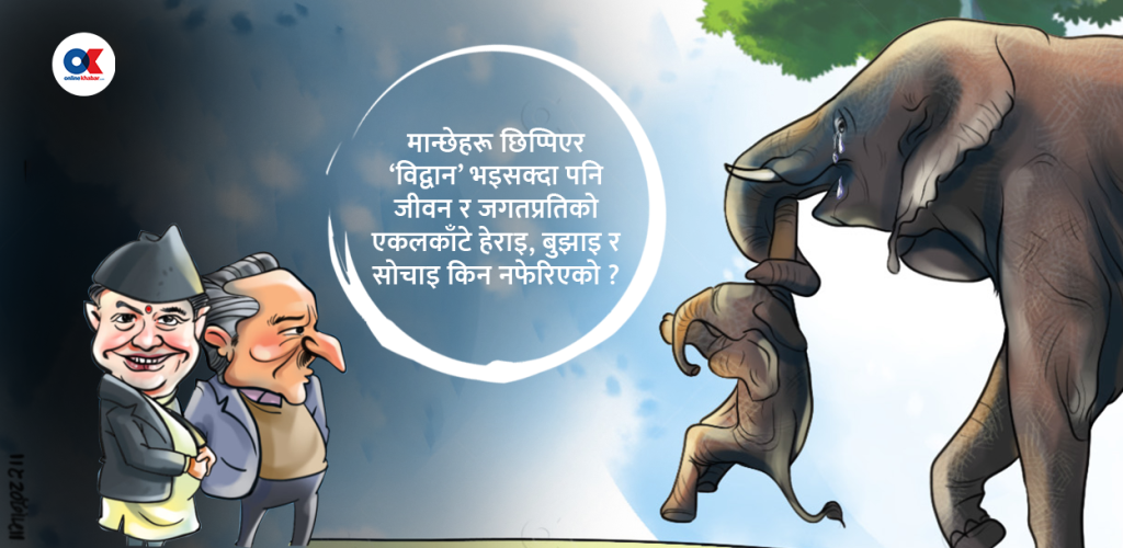 दुई बुज्रुकलाई एक प्रश्न, अबोध पशुलाई खिसिट्युरी गरेर के पायौ ? image 62 by Ditible