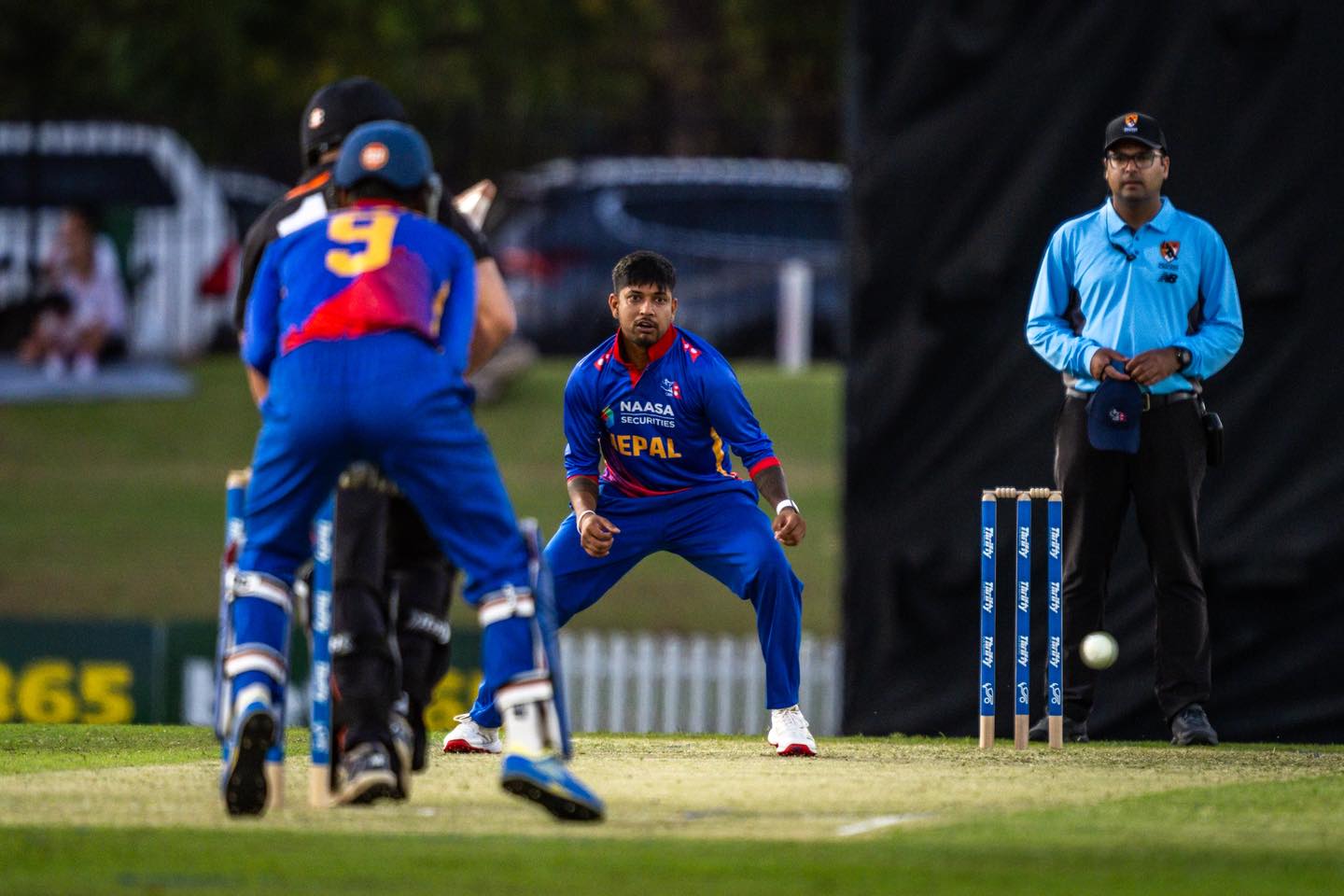 532993223 1214363227386722 6161265169078726428 n by Ditible