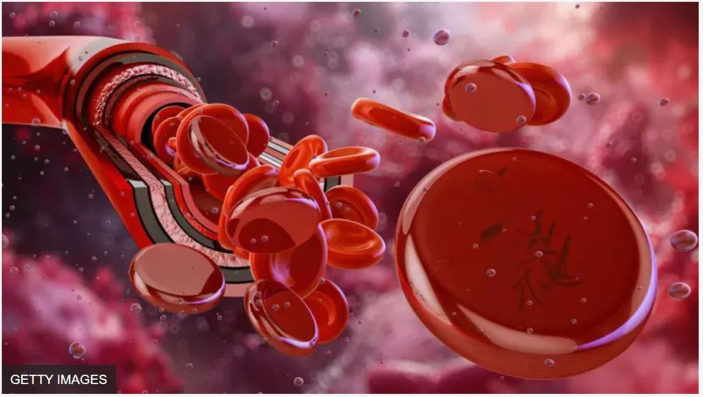 Blood Cell by Ditible