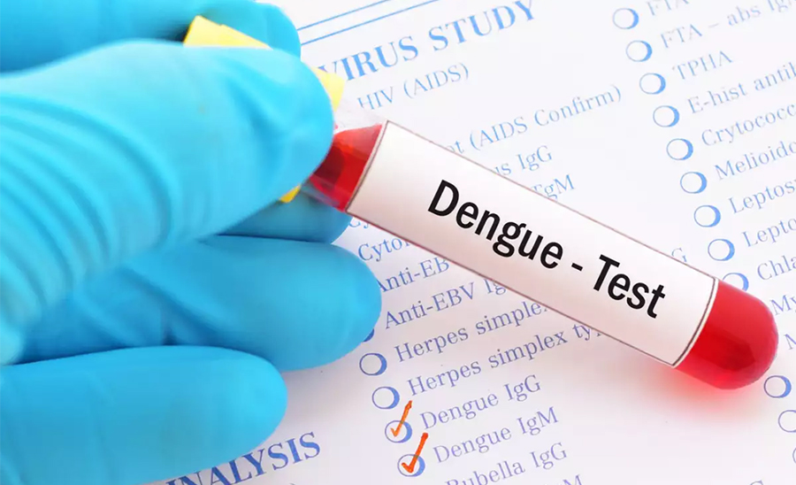 Dengue Test by Ditible