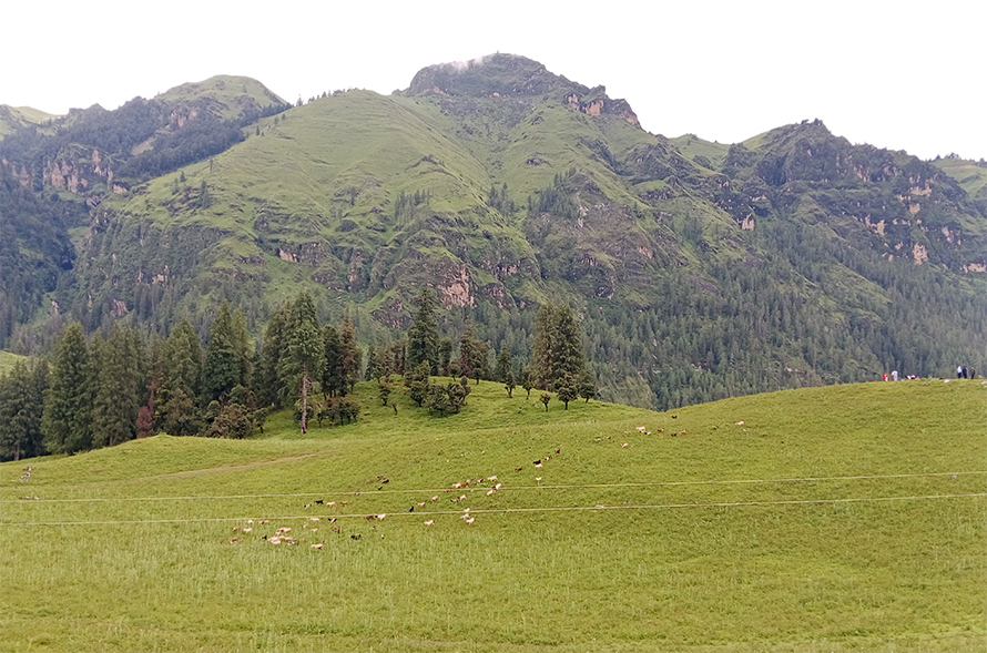 Dhimichaur Jumla by Ditible