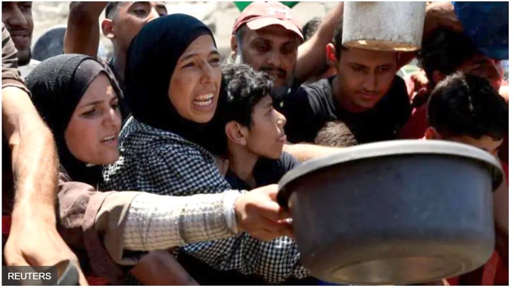 Gaja food Crisis by Ditible