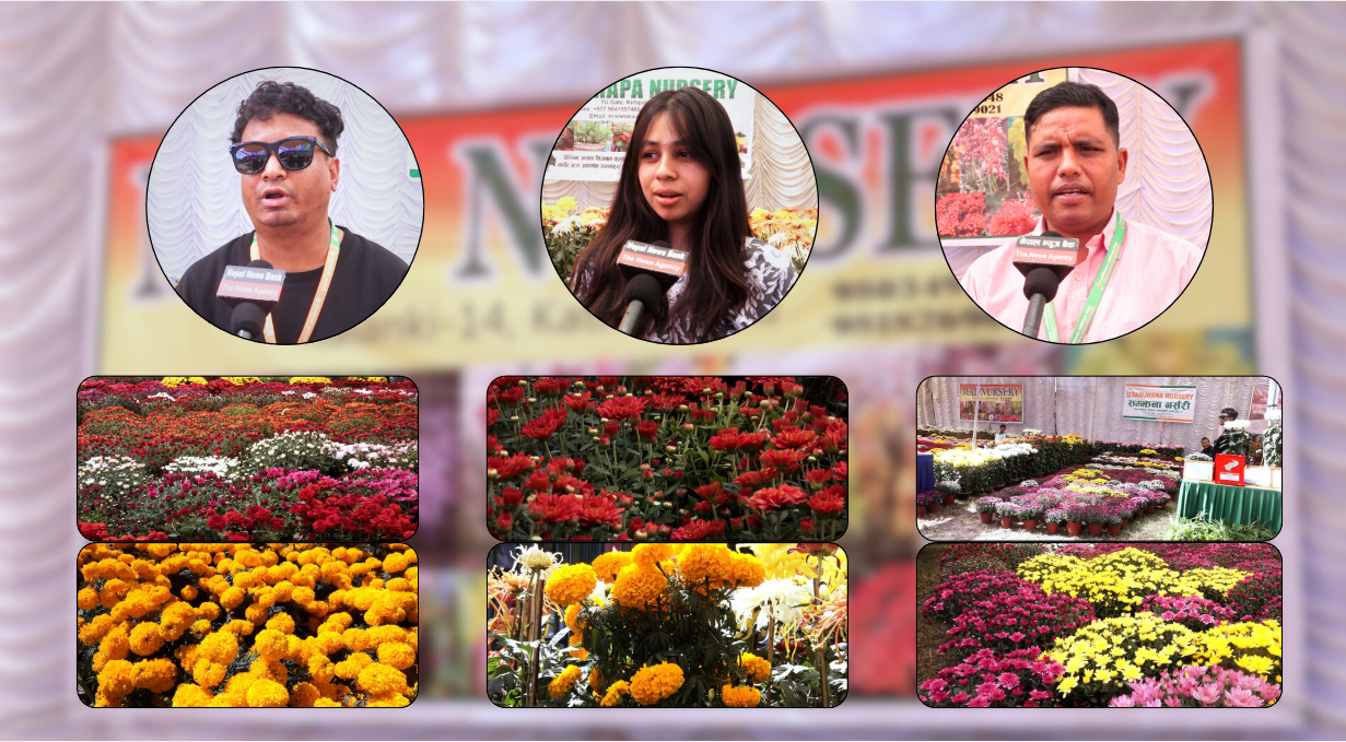 Web Post 1 10 by Ditible